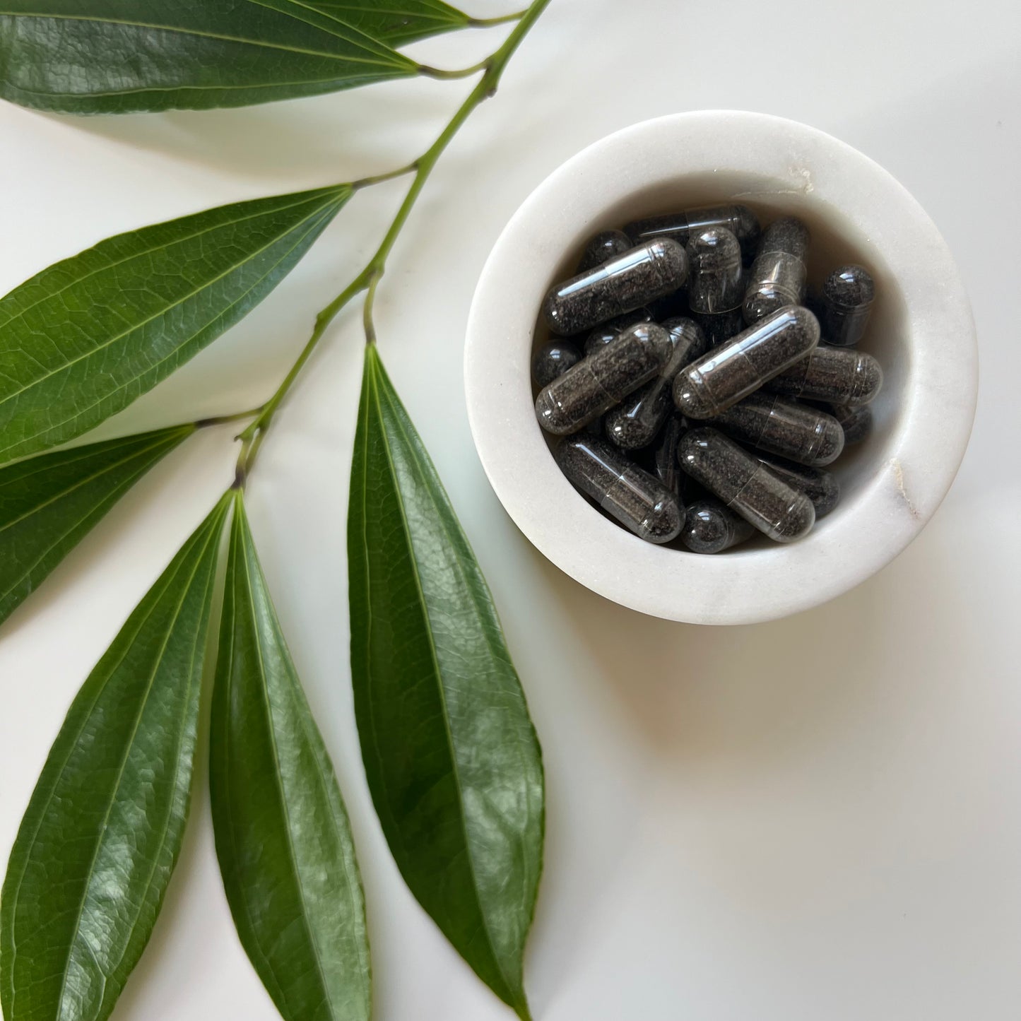 Black Seed Capsules | Black Cumin Seed | 100% Organic | Nigella Sativa | 590mg
