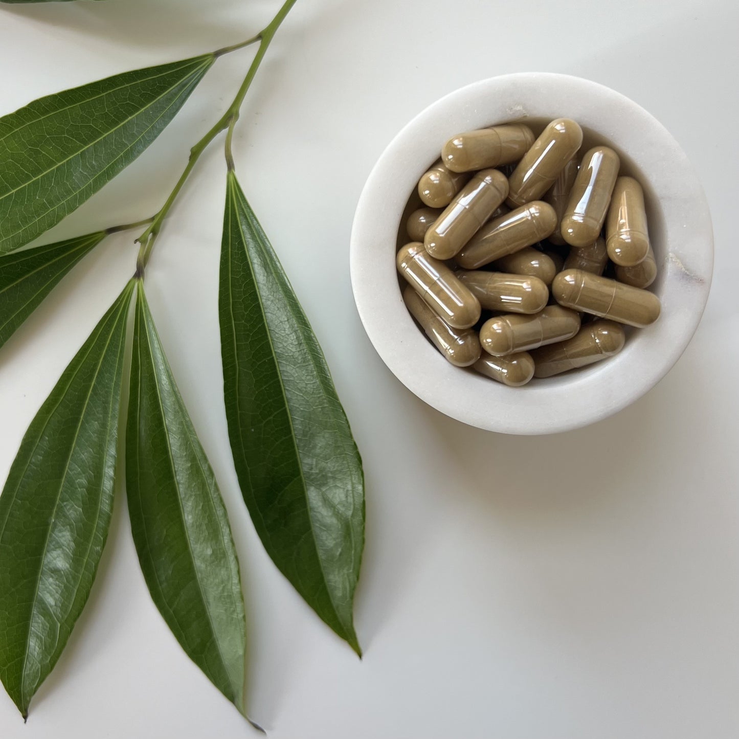 Cascara Sagrada Capsules | 100% Wild-Crafted | Rhamnus Purshiana | 510mg
