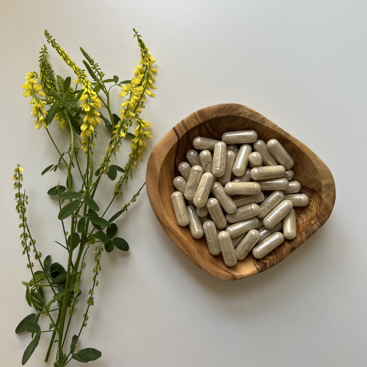 Eleuthero Root Capsules | 100% Pure | Siberian Ginseng | Adaptogen | 510mg