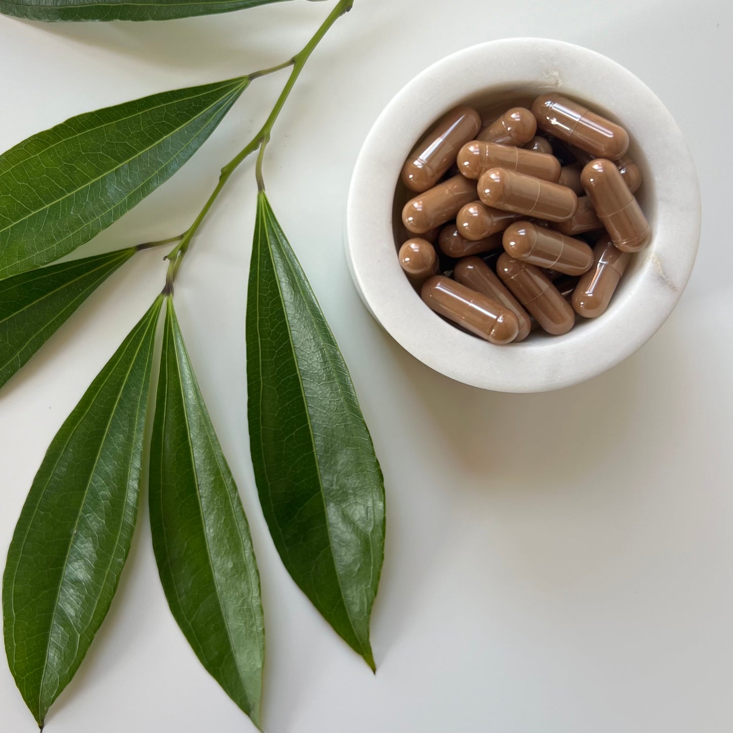 Kola Nut Capsules | 100% Pure | Cola Acuminata | 600mg | Energy Boost