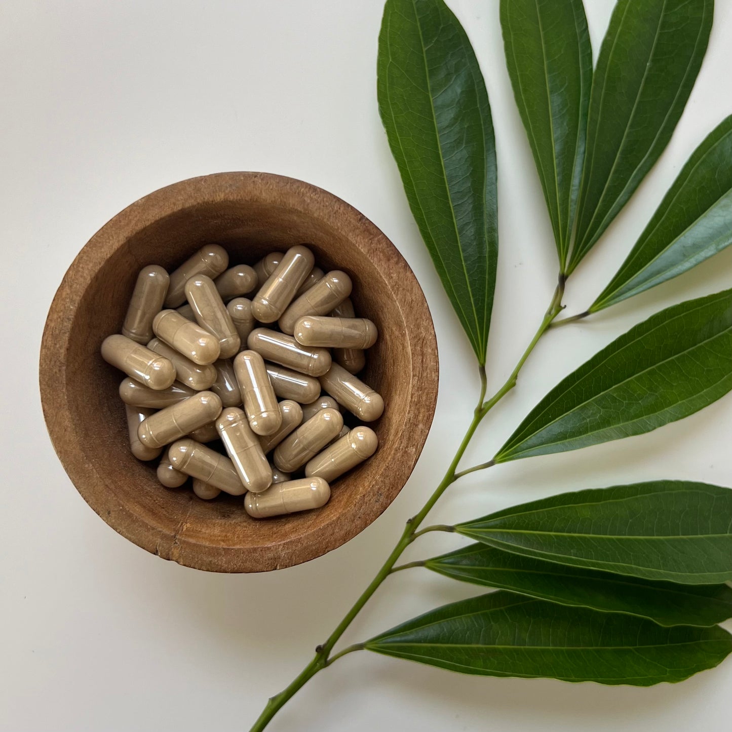 Maitake Mushroom Capsules | 100% Organic | Grifola Frondosa | 510mg