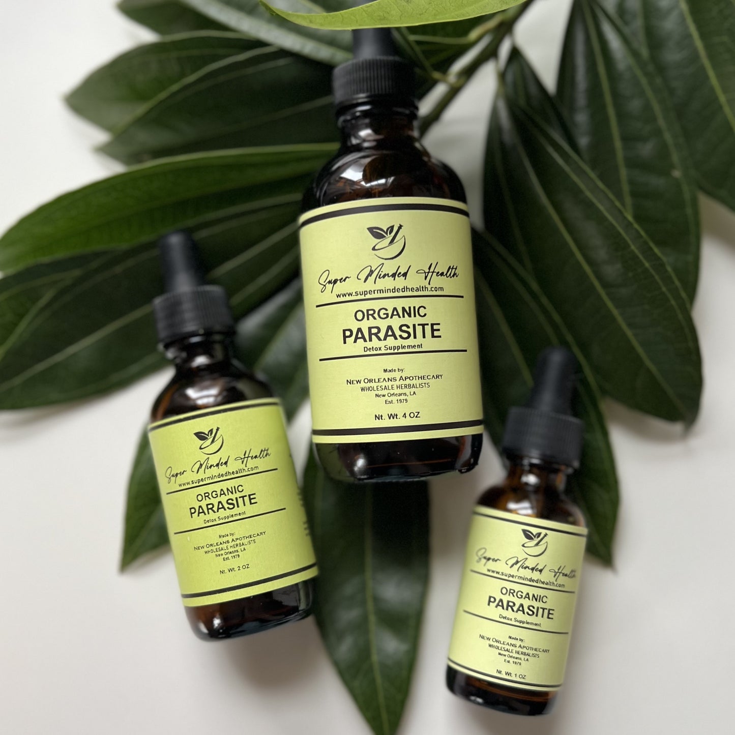 Parasite Tincture | Parasite Cleanse Tincture | 7 Day Detox