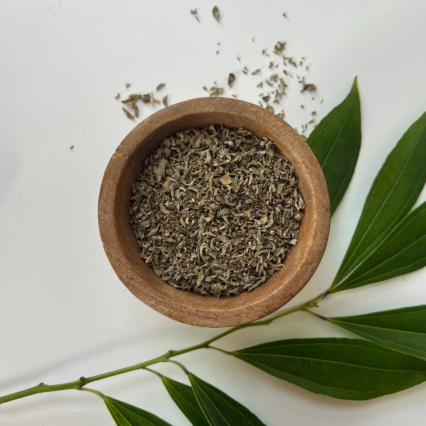 Pennyroyal | C/S Organic Dried | Mosquito Plant | Mentha Pulegium