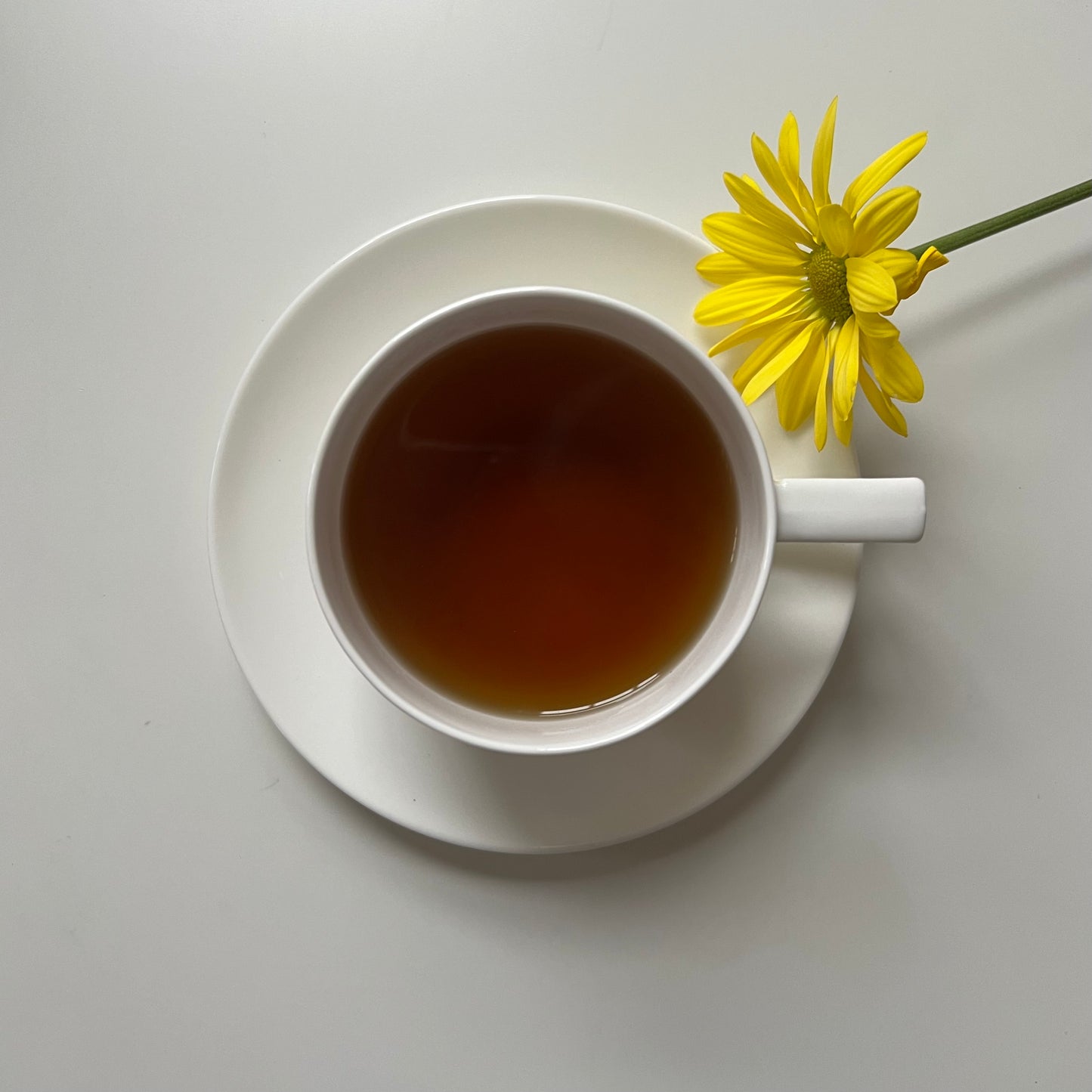 Dream Time Tea (32 Servings) Loose Organic Herbal Tea Sleepy Calm