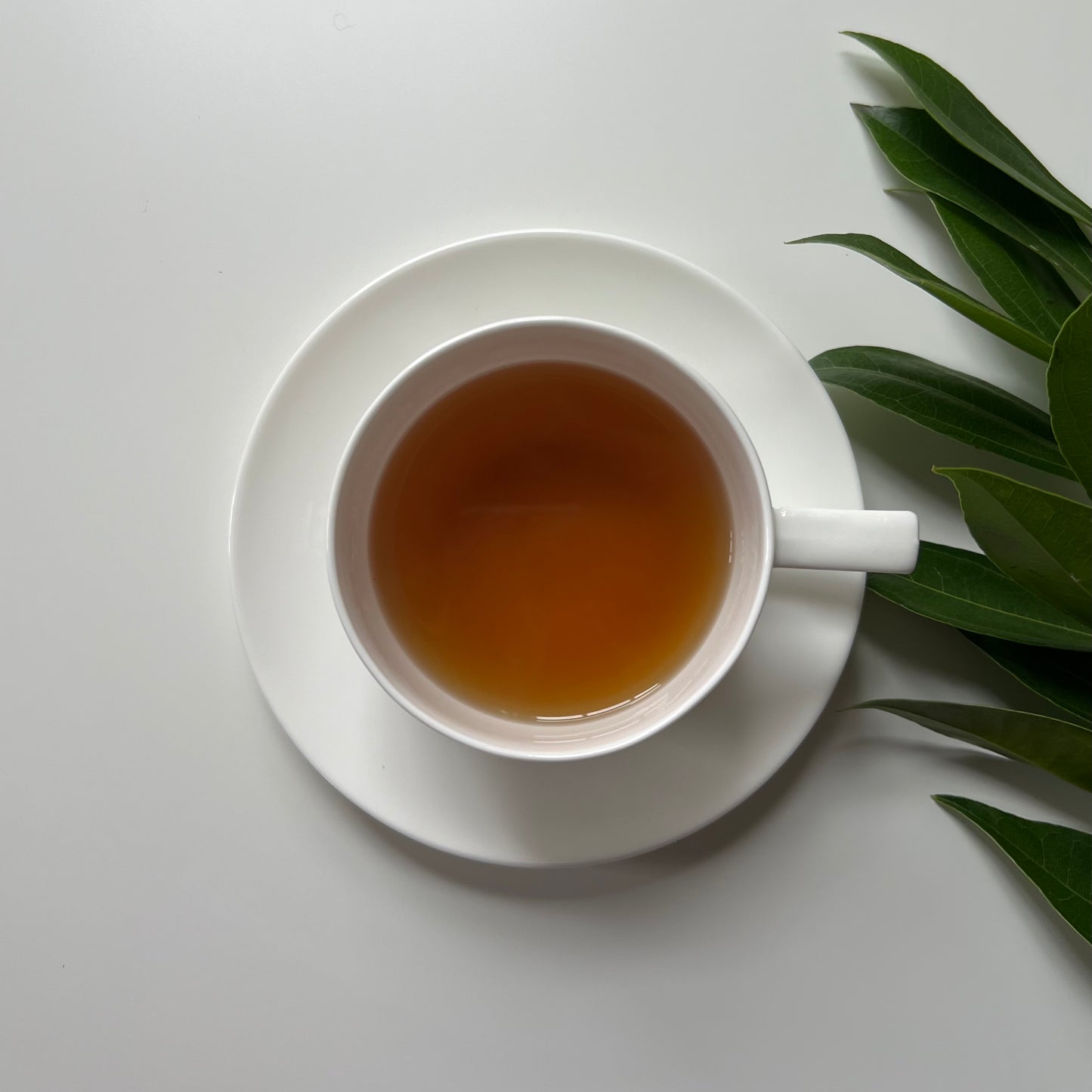 Forget Me Not Tea (32 Servings) Loose Organic Herbal Tea Boost Memory Function