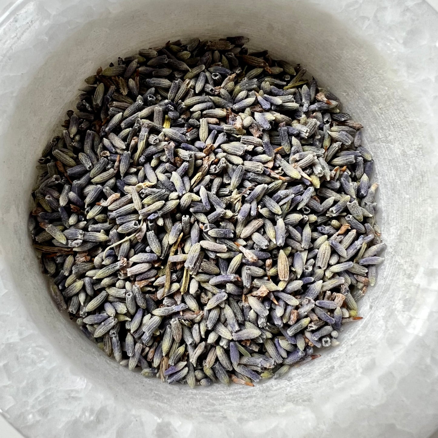 French Lavender | C/S Pure | Lavandula x Intermedia | Ultra Quality | Nervine