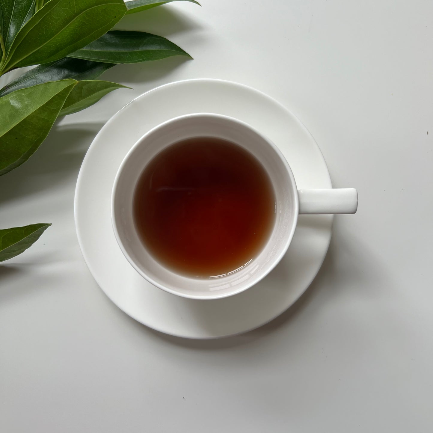 Energee Tea (32 Servings) Loose Organic Herbal Tea Revitalize