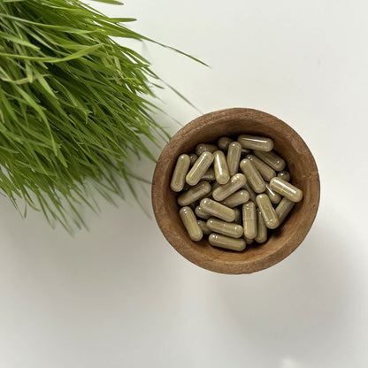 Wheatgrass Capsules | Triticum Aestivum | 500mg | Alkaline