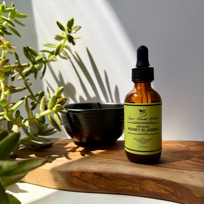 Kidney Bladder Tincture | Organic | Urinary Health